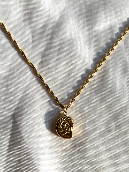 “Coralia” Gold Filled Shell Necklace